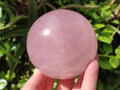 Polished Gemmy Star Rose Quartz Spheres x 2 From Madagascar