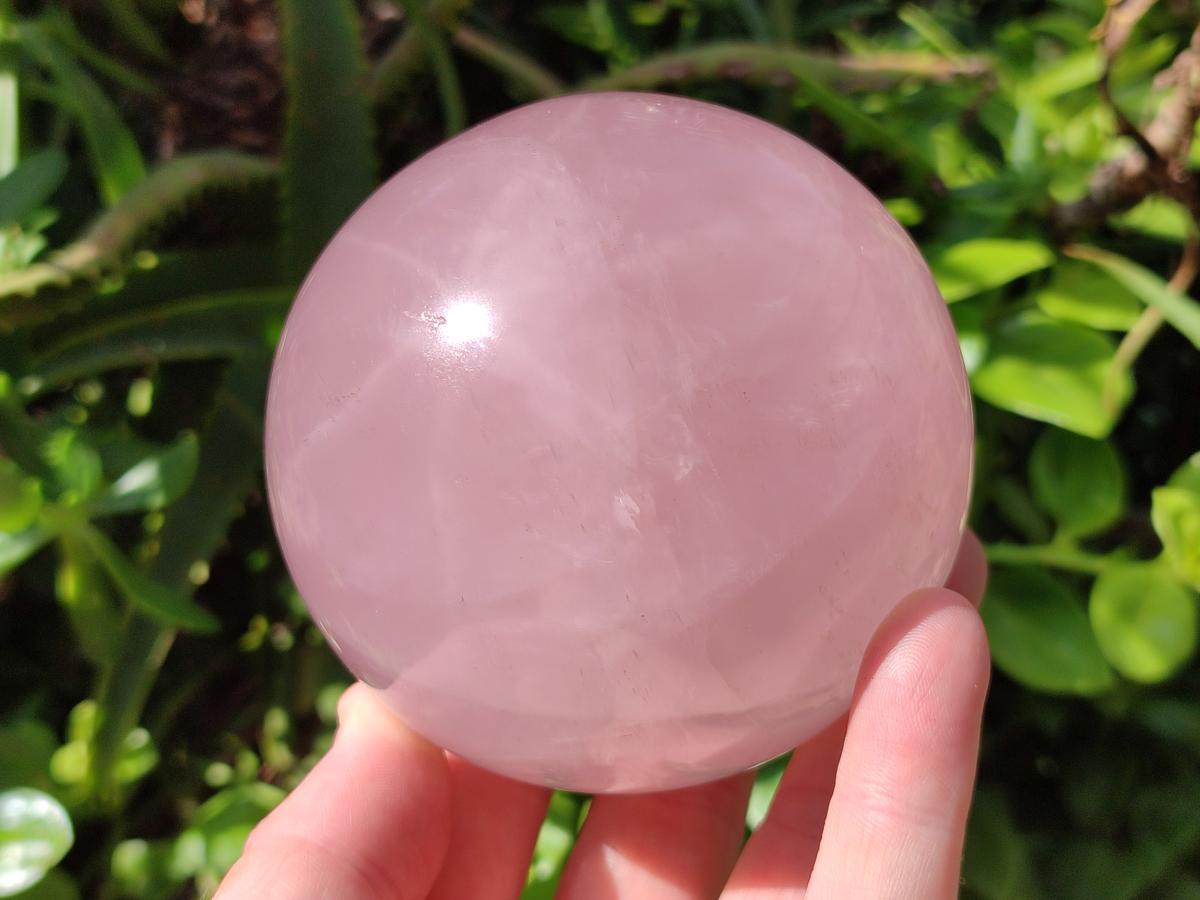 Polished Gemmy Star Rose Quartz Spheres x 2 From Madagascar