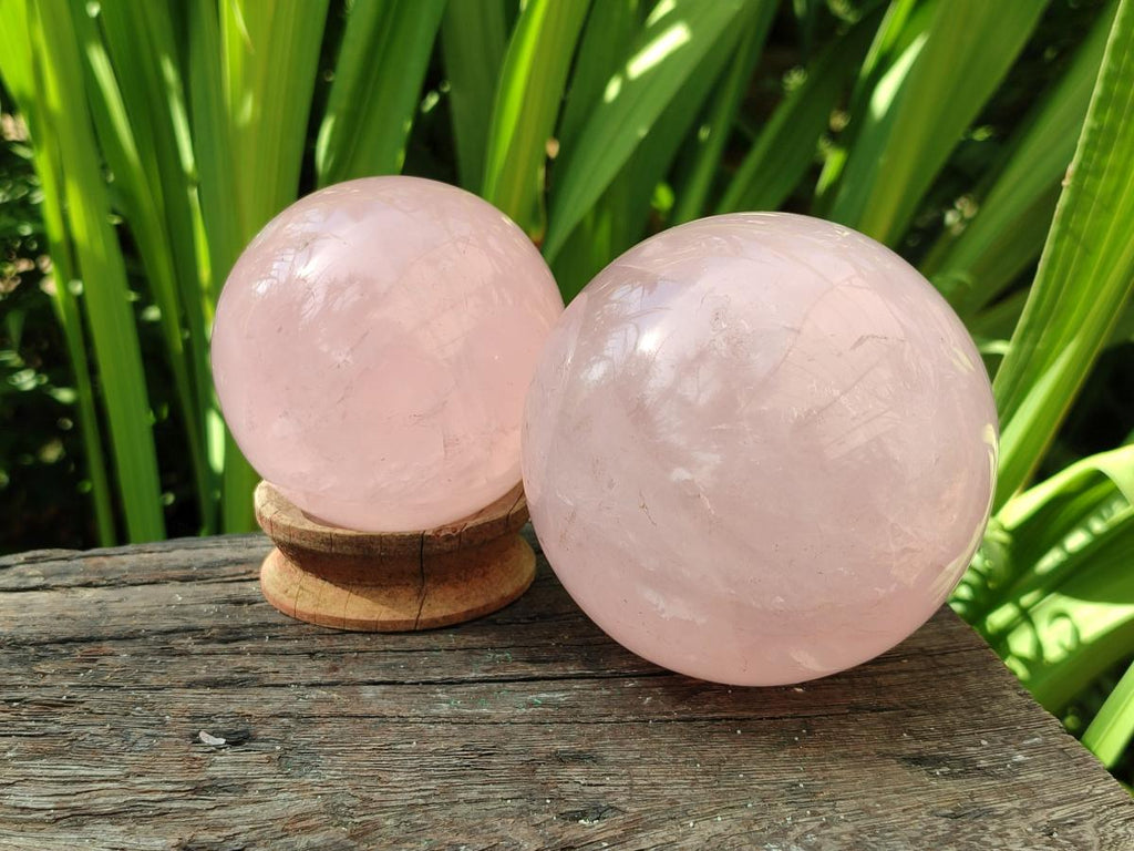 Polished Gemmy Star Rose Quartz Spheres x 2 From Madagascar