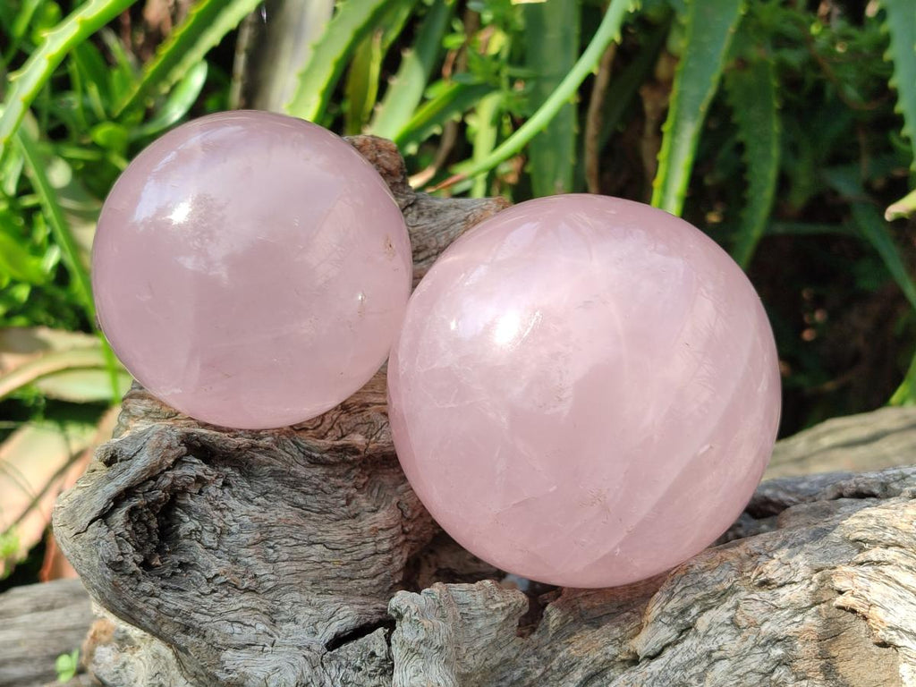 Polished Gemmy Star Rose Quartz Spheres x 2 From Madagascar