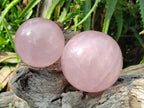 Polished Gemmy Star Rose Quartz Spheres x 2 From Madagascar