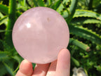 Polished Gemmy Star Rose Quartz Spheres x 2 From Madagascar
