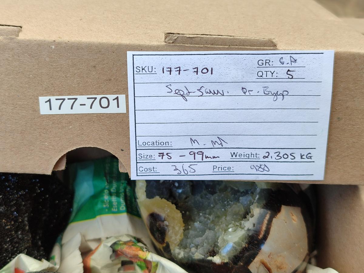 Polished Septerye Sauvage "Dragons Egg" Geodes x 5 From Mahajanga, Madagascar