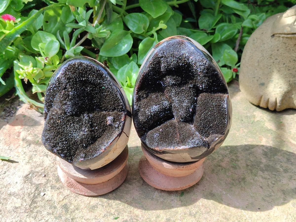 Polished Septerye Sauvage "Dragons Egg" Geodes x 5 From Mahajanga, Madagascar