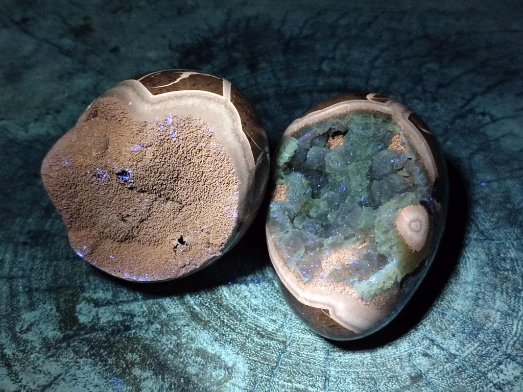 Polished Septerye Sauvage "Dragons Egg" Geodes x 5 From Mahajanga, Madagascar