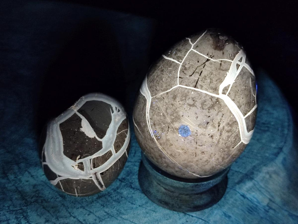 Polished Septerye Sauvage "Dragons Egg" Geodes x 5 From Mahajanga, Madagascar