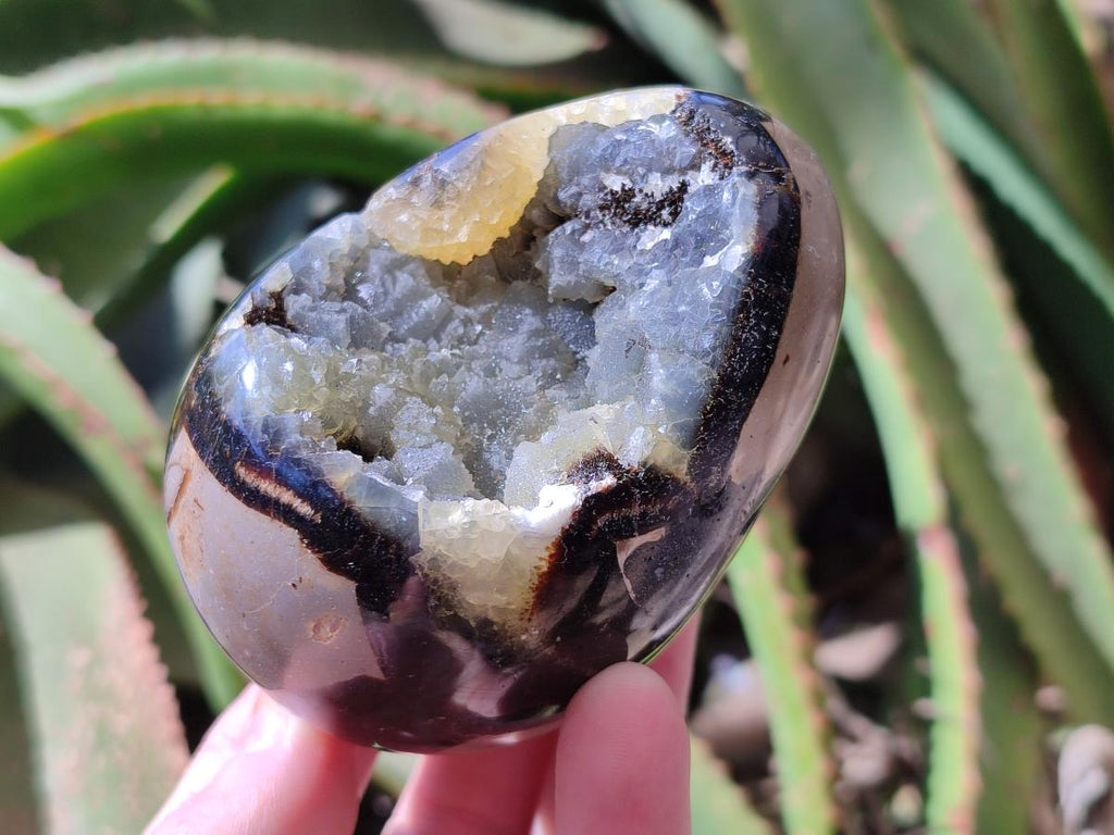 Polished Septerye Sauvage "Dragons Egg" Geodes x 5 From Mahajanga, Madagascar