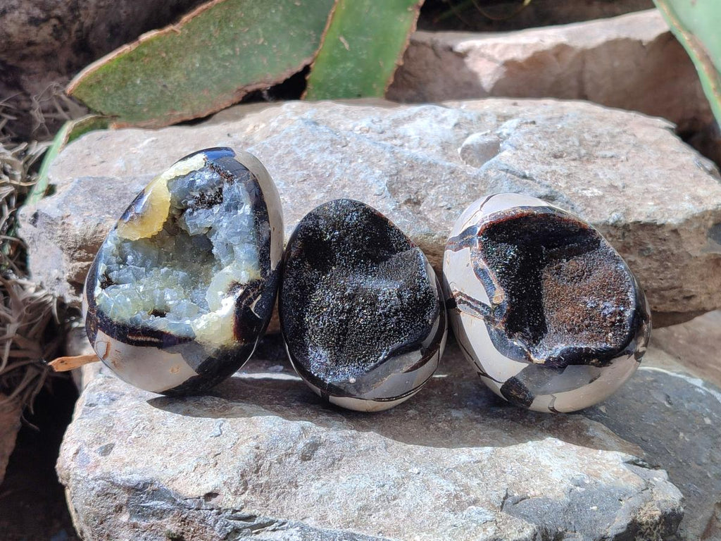 Polished Septerye Sauvage "Dragons Egg" Geodes x 5 From Mahajanga, Madagascar