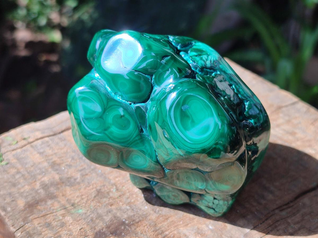 Polished Flower Banded Malachite Free Forms x 6 From Congo