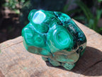 Polished Flower Banded Malachite Free Forms x 6 From Congo