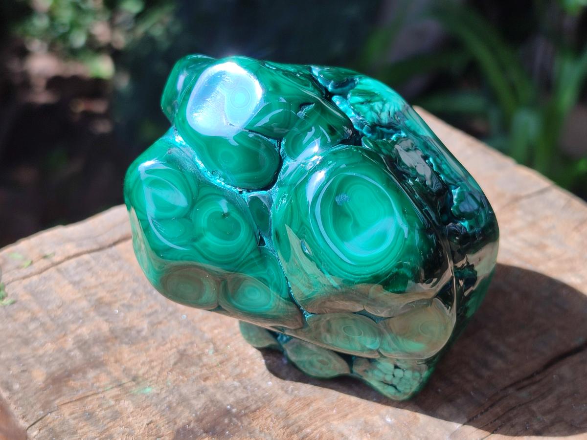 Polished Flower Banded Malachite Free Forms x 6 From Congo