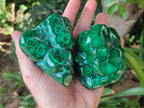 Polished Flower Banded Malachite Free Forms x 6 From Congo