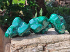 Polished Flower Banded Malachite Free Forms x 6 From Congo