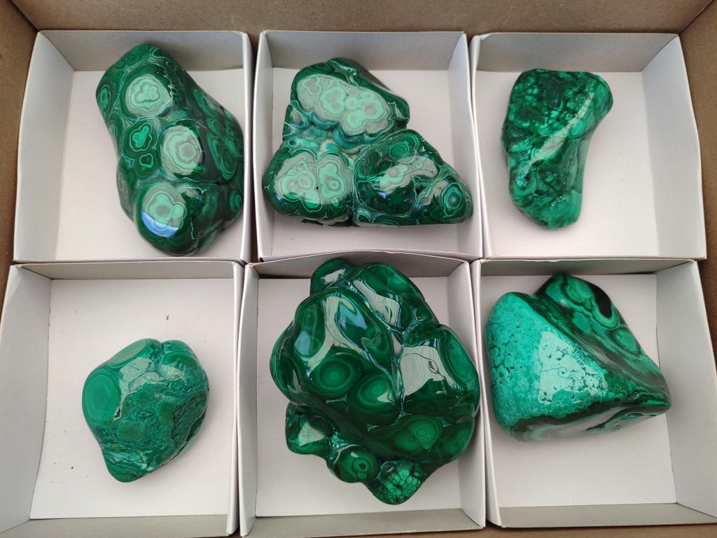 Polished Flower Banded Malachite Free Forms x 6 From Congo