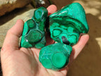 Polished Flower Banded Malachite Free Forms x 6 From Congo