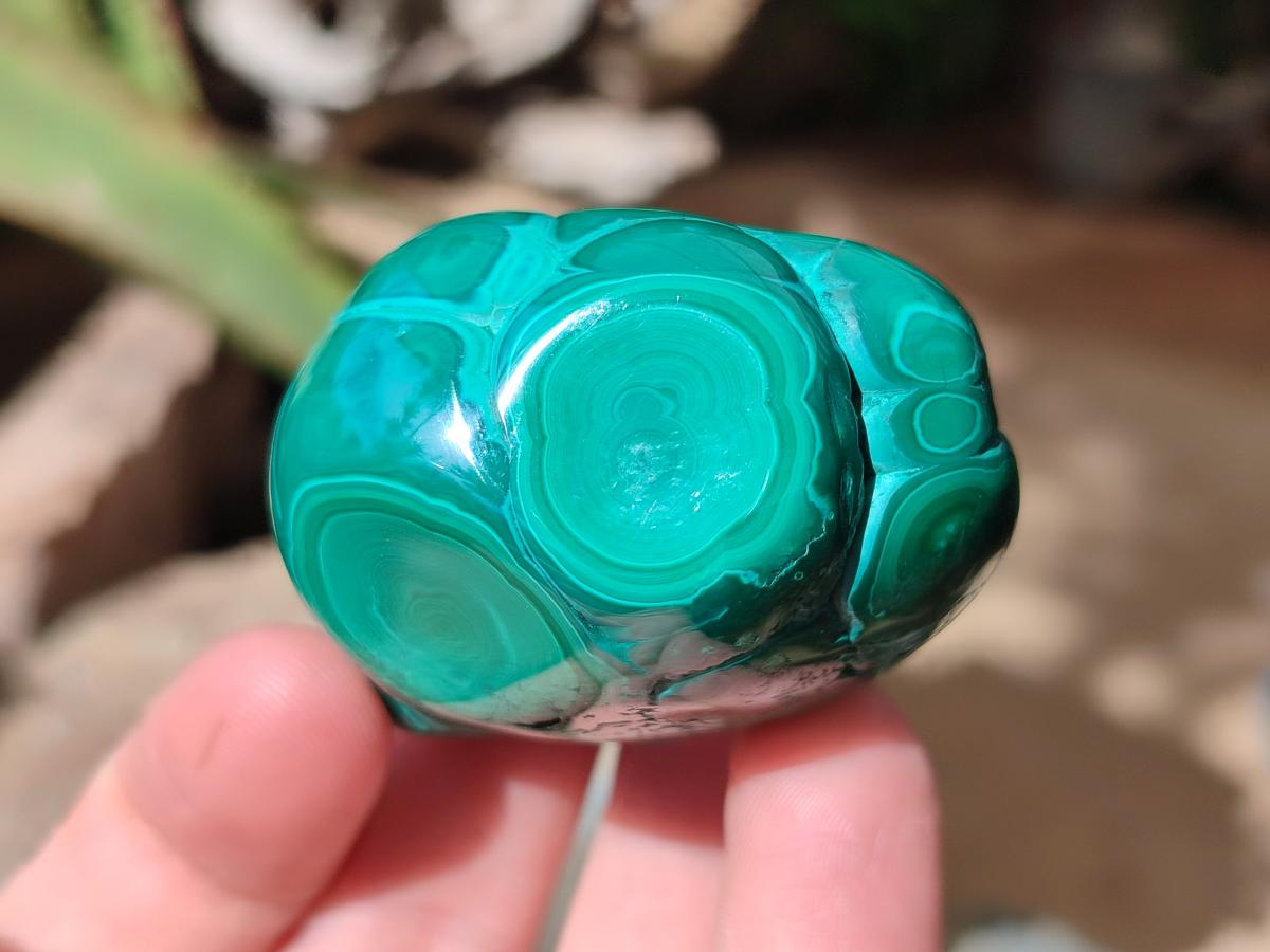 Polished Flower Banded Malachite Free Forms x 6 From Congo