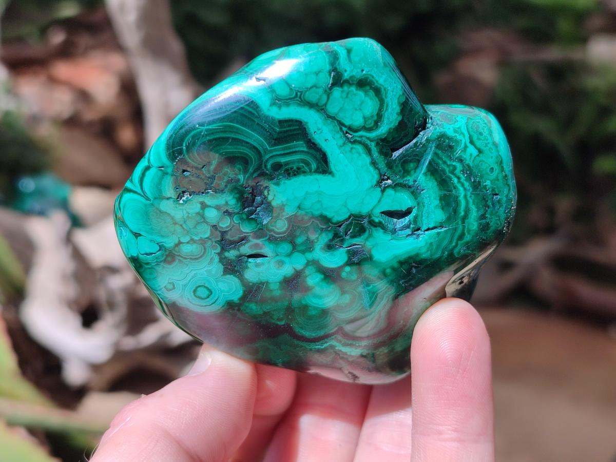 Polished Flower Banded Malachite Free Forms x 6 From Congo