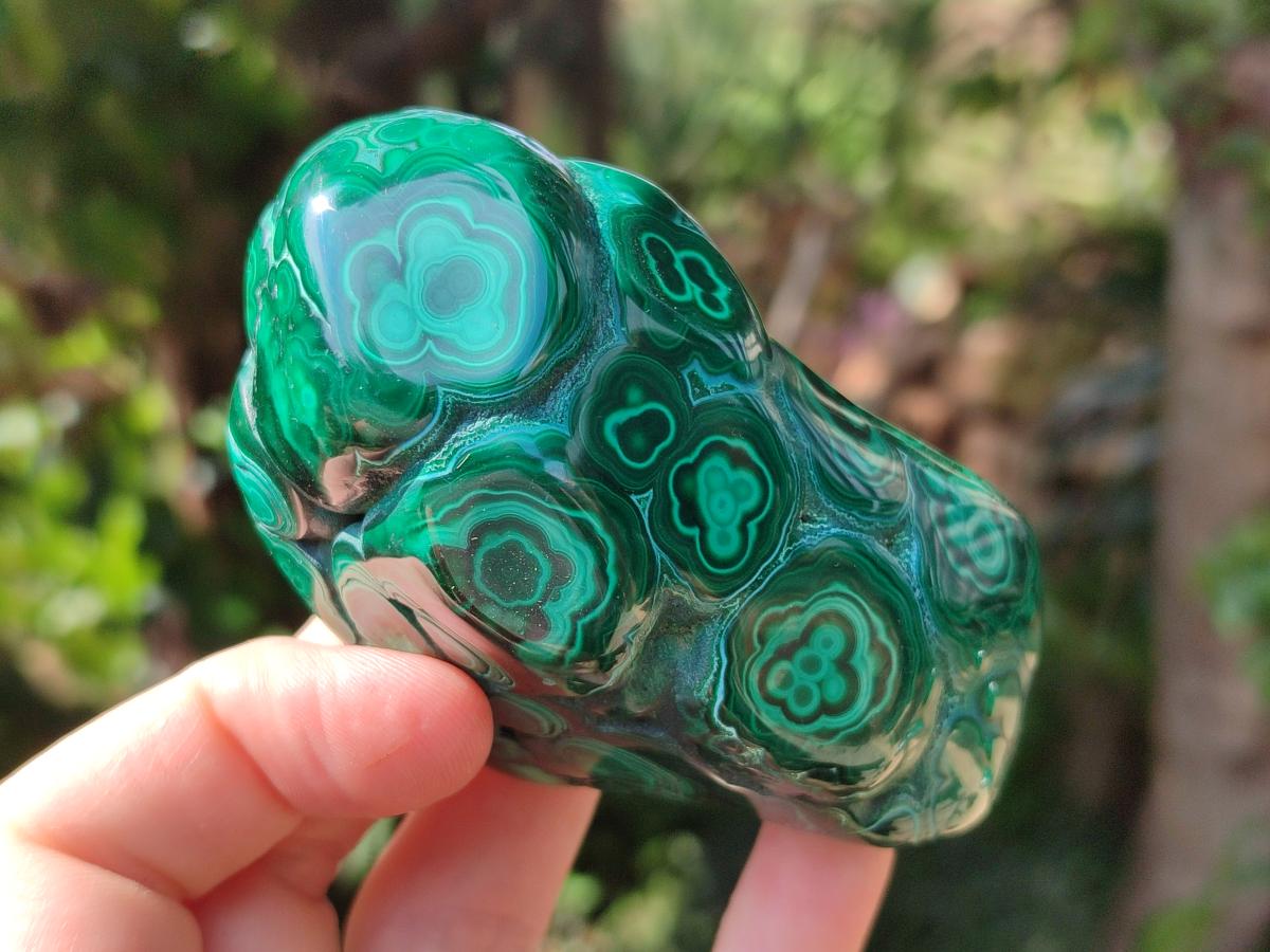 Polished Flower Banded Malachite Free Forms x 6 From Congo