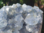 Natural Large Blue Celestite Geode Specimen x 1 From Sakoany, Madagascar