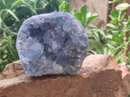 Natural Large Blue Celestite Geode Specimen x 1 From Sakoany, Madagascar
