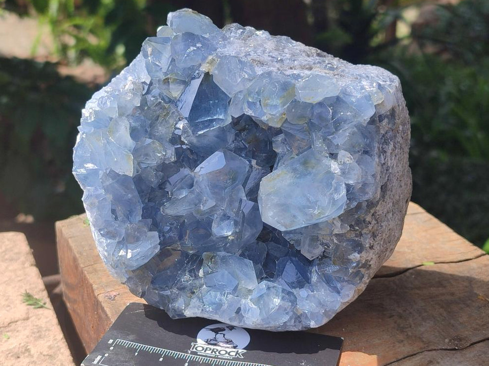 Natural Large Blue Celestite Geode Specimen x 1 From Sakoany, Madagascar