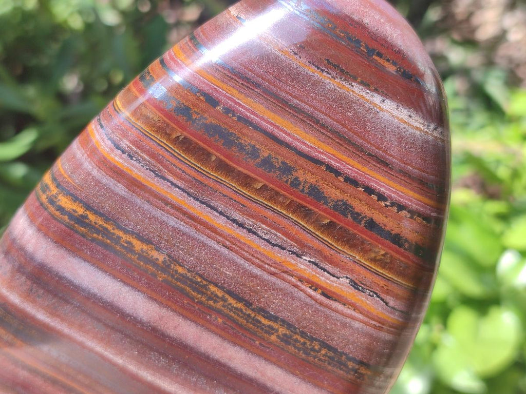 Polished Banded Tiger Iron Standing Free Forms x 2 From South Africa