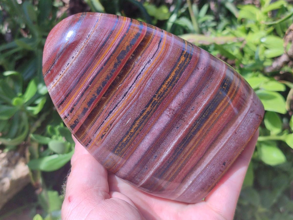 Polished Banded Tiger Iron Standing Free Forms x 2 From South Africa