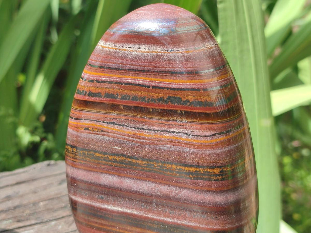 Polished Banded Tiger Iron Standing Free Forms x 2 From South Africa