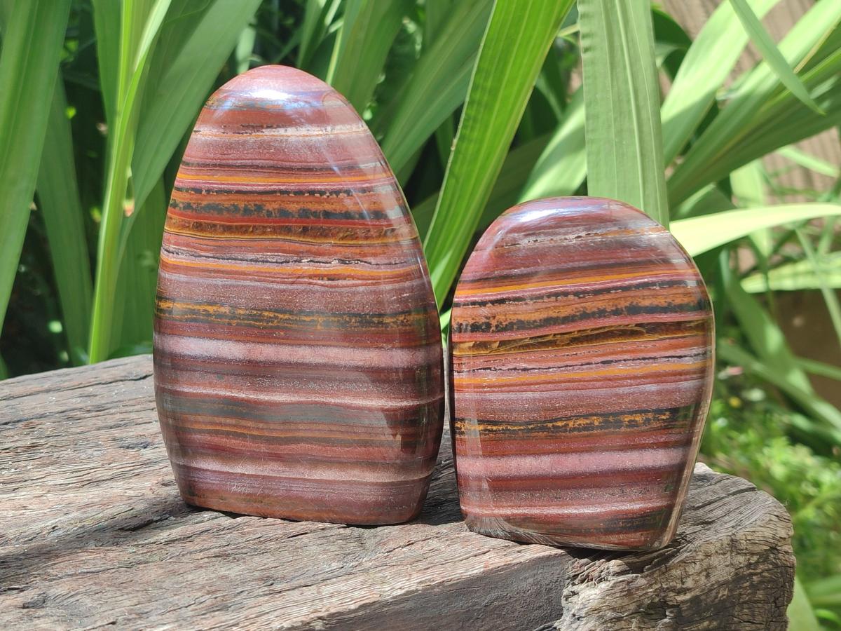 Polished Banded Tiger Iron Standing Free Forms x 2 From South Africa