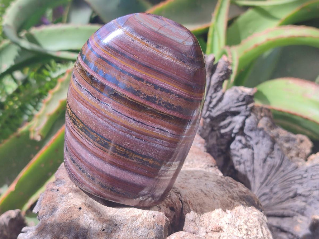 Polished Banded Tiger Iron Standing Free Forms x 2 From South Africa