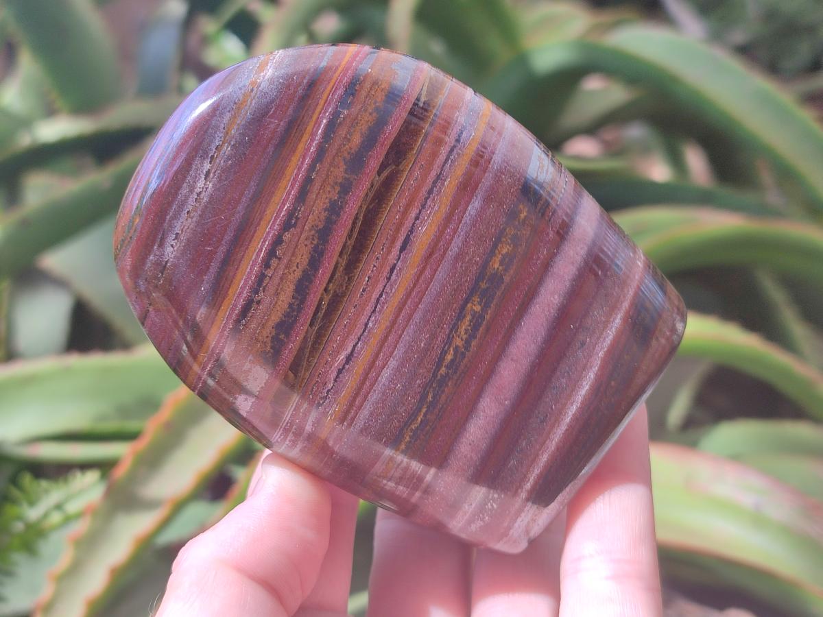Polished Banded Tiger Iron Standing Free Forms x 2 From South Africa