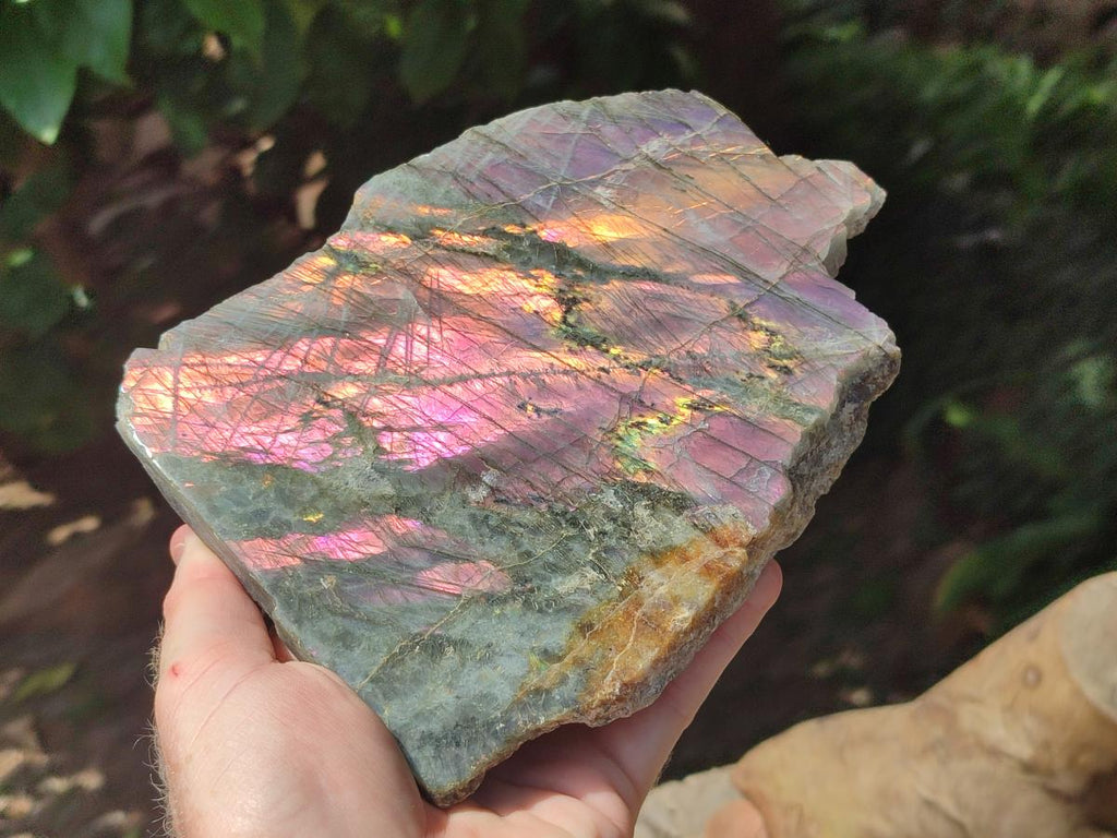 Polished One Side Rare Purple Sunset Labradorite Display Pieces x 2 From Madagascar