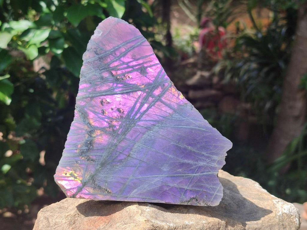 Polished One Side Rare Purple Sunset Labradorite Display Pieces x 2 From Madagascar