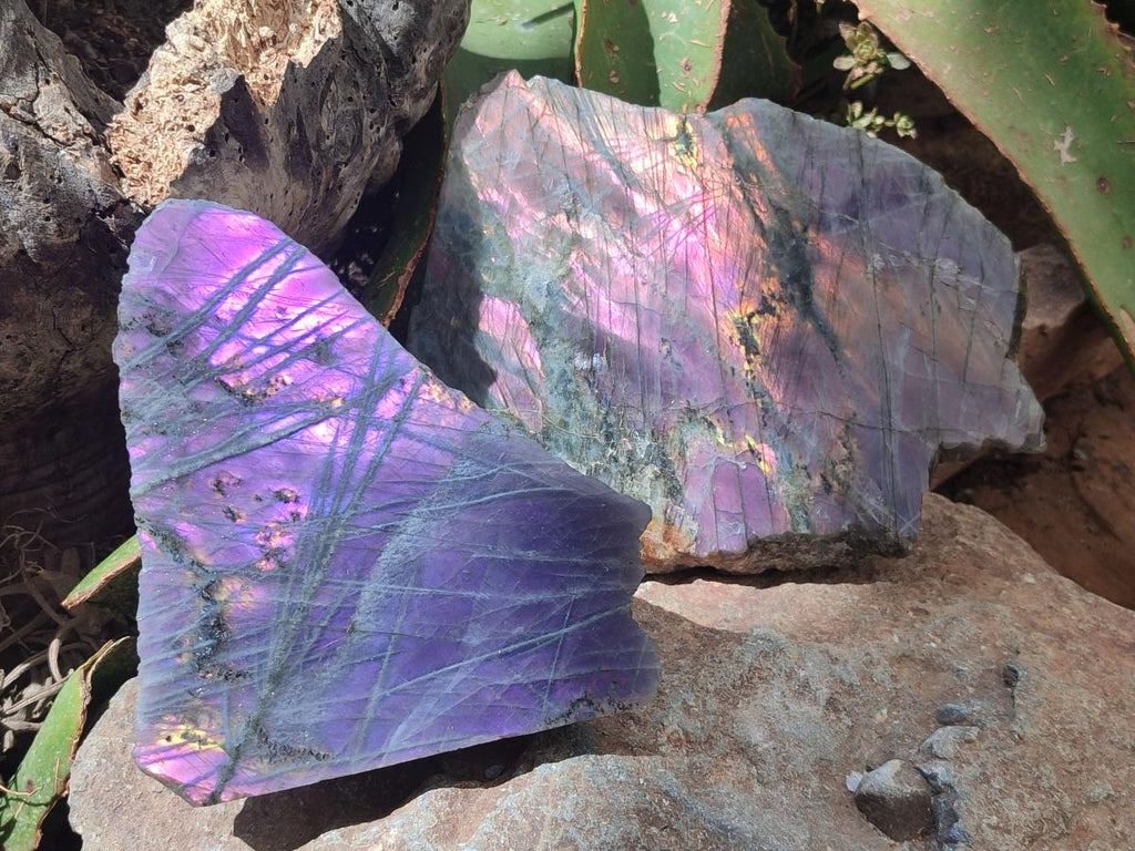 Polished One Side Rare Purple Sunset Labradorite Display Pieces x 2 From Madagascar