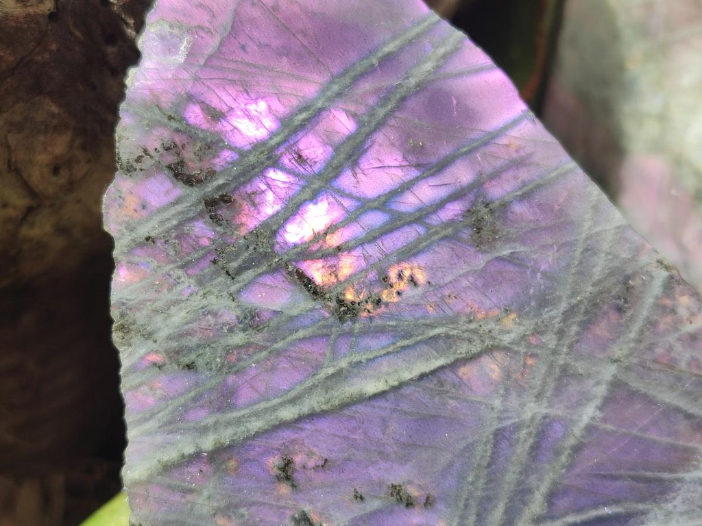Polished One Side Rare Purple Sunset Labradorite Display Pieces x 2 From Madagascar