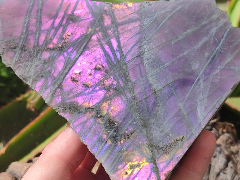 Polished One Side Rare Purple Sunset Labradorite Display Pieces x 2 From Madagascar