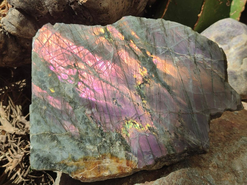 Polished One Side Rare Purple Sunset Labradorite Display Pieces x 2 From Madagascar