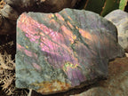 Polished One Side Rare Purple Sunset Labradorite Display Pieces x 2 From Madagascar