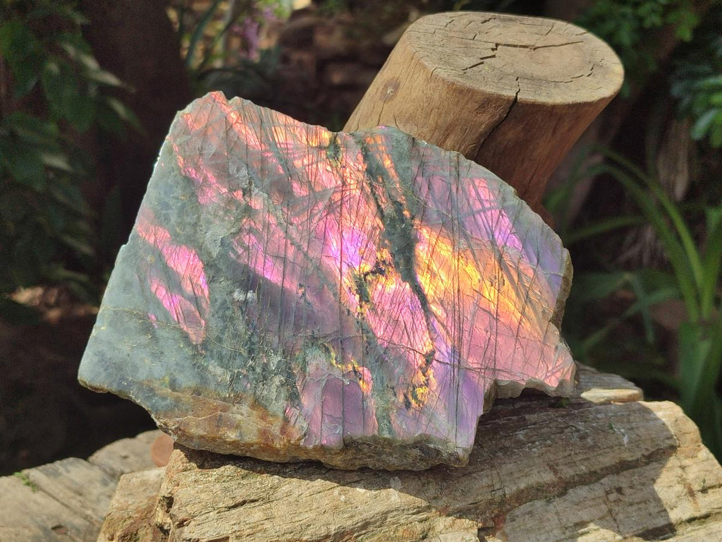 Polished One Side Rare Purple Sunset Labradorite Display Pieces x 2 From Madagascar