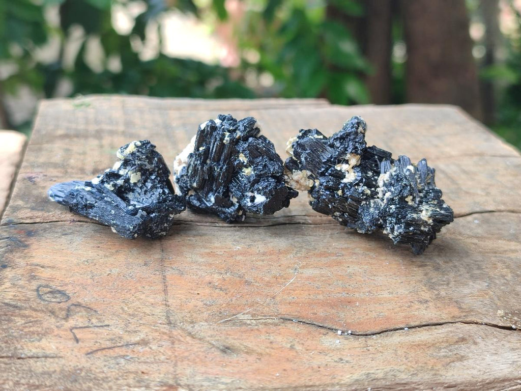 Natural Schorl Black Tourmaline With Vermiculite x 70 From Erongo, Namibia