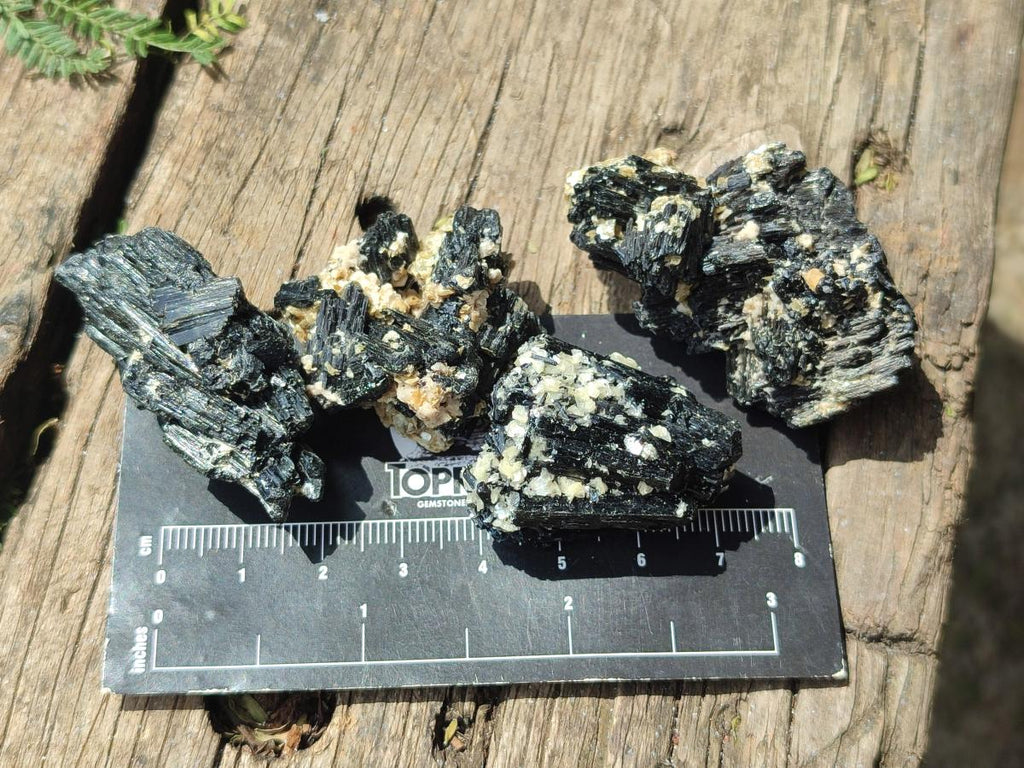 Natural Schorl Black Tourmaline With Vermiculite x 70 From Erongo, Namibia