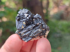 Natural Schorl Black Tourmaline With Vermiculite x 70 From Erongo, Namibia