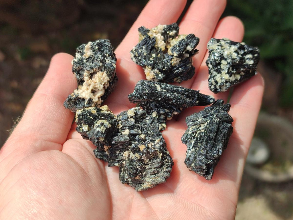 Natural Schorl Black Tourmaline With Vermiculite x 70 From Erongo, Namibia
