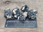 Natural Schorl Black Tourmaline With Vermiculite x 70 From Erongo, Namibia