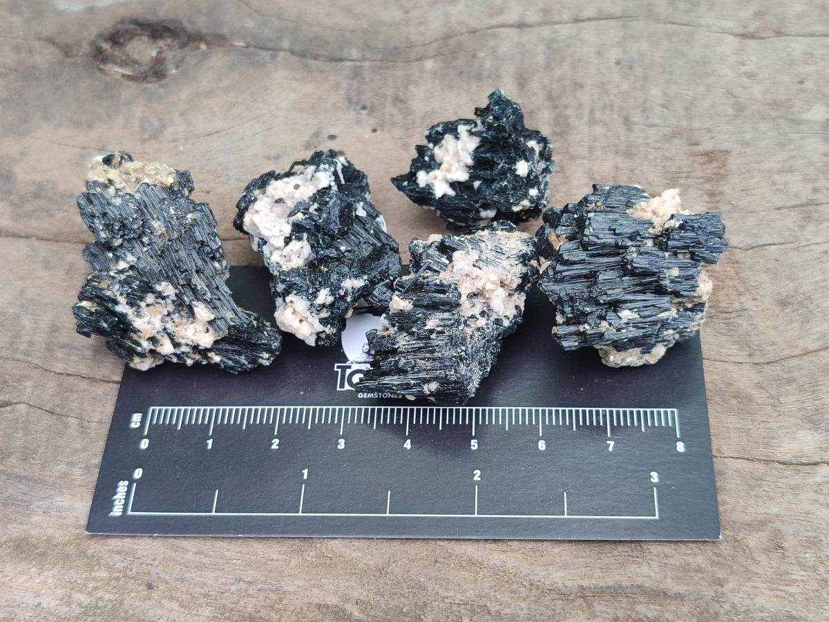 Natural Schorl Black Tourmaline With Vermiculite x 70 From Erongo, Namibia