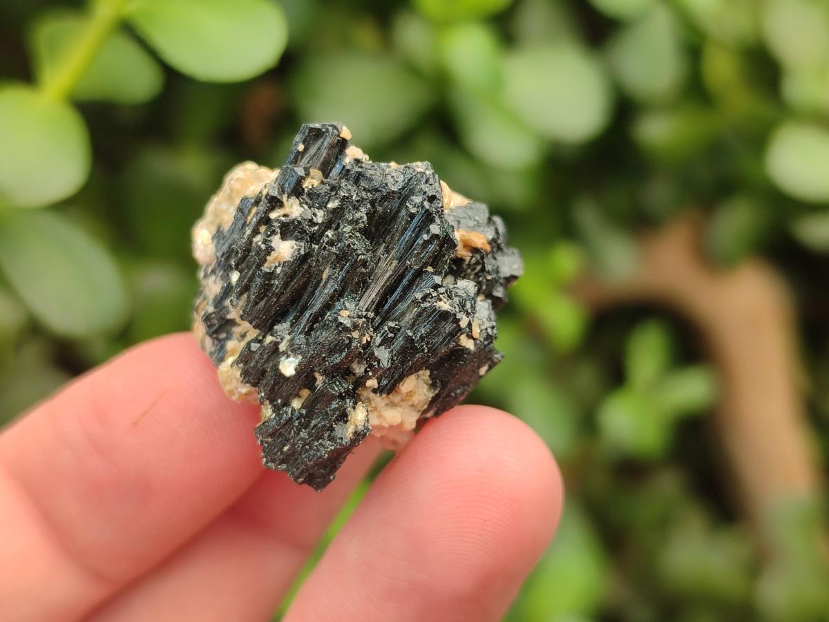 Natural Schorl Black Tourmaline With Vermiculite x 70 From Erongo, Namibia