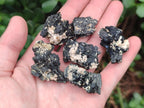 Natural Schorl Black Tourmaline With Vermiculite x 70 From Erongo, Namibia