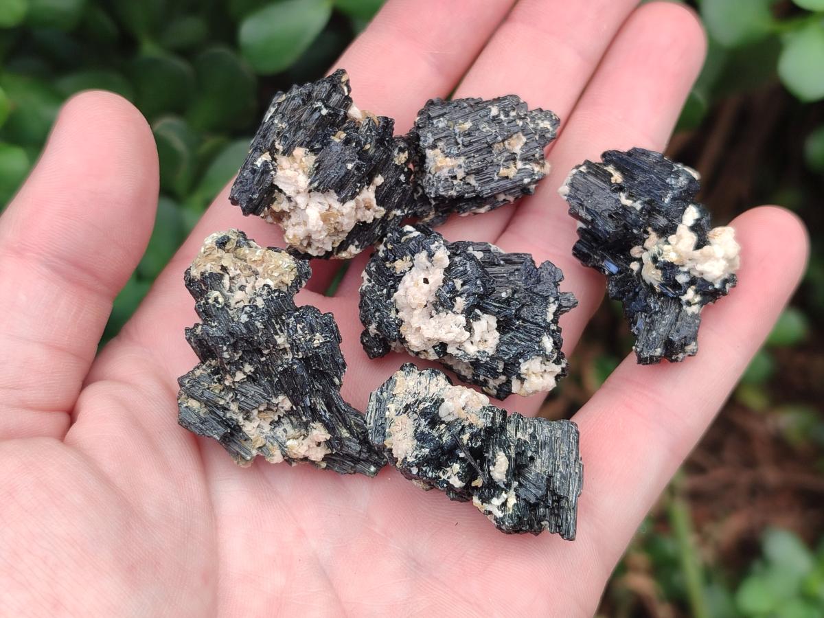 Natural Schorl Black Tourmaline With Vermiculite x 70 From Erongo, Namibia