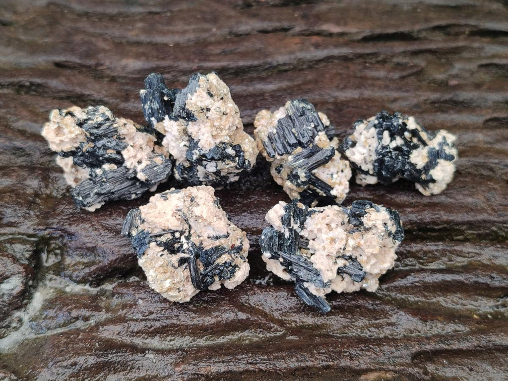 Natural Schorl Black Tourmaline With Vermiculite x 70 From Erongo, Namibia