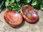 Polished Carnelian Agate Gemstone Bowls x 6 From Madagascar